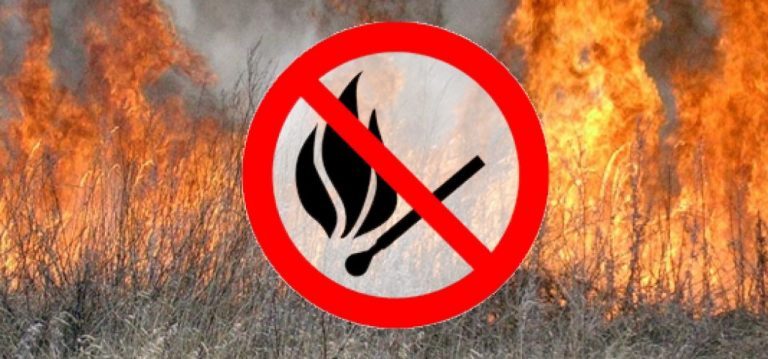 Депутати Львівської облради закликали мешканців об’єднаних громад не палити траву